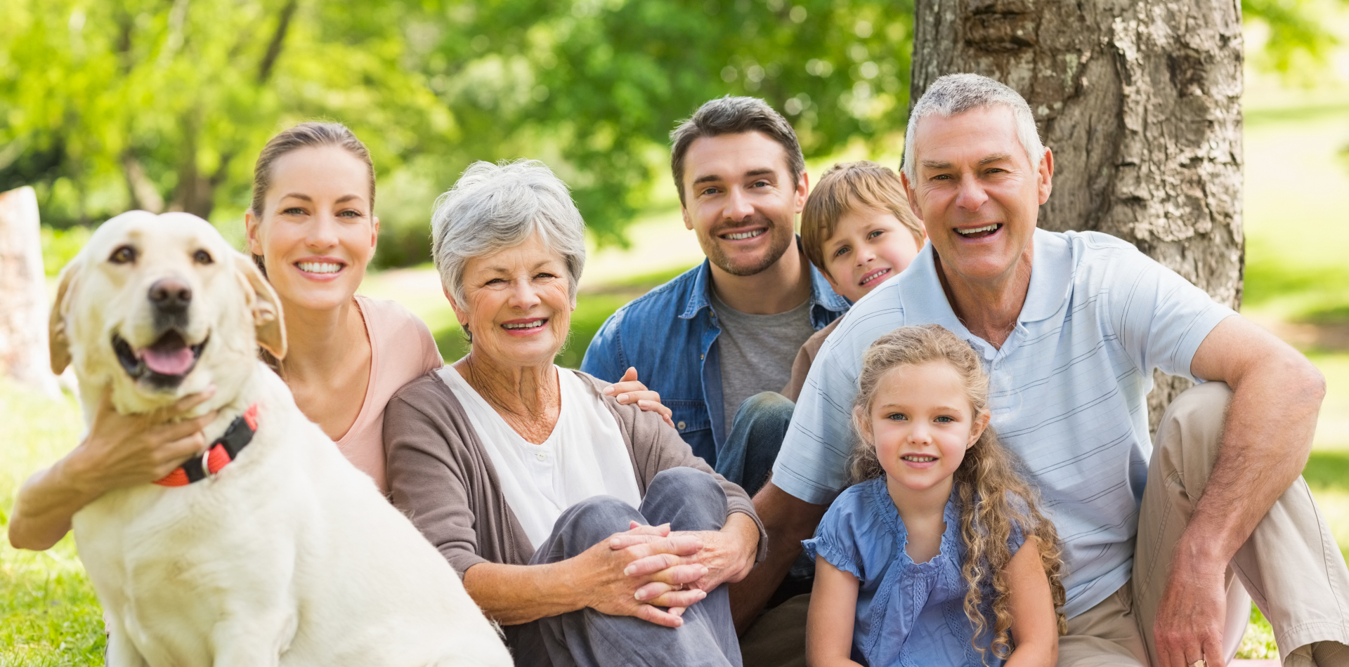 about financial asset management advisors